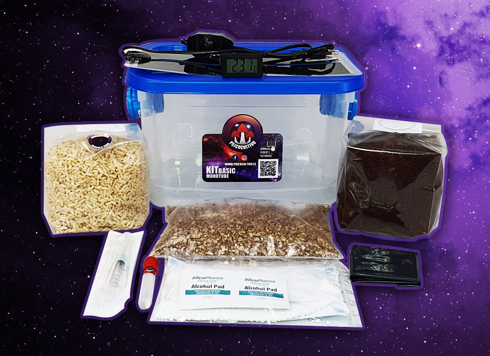 kit basic